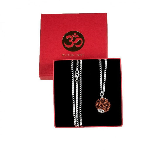 Talismã Proteção contra a negatividade e o stresse - 5 MUKHIS