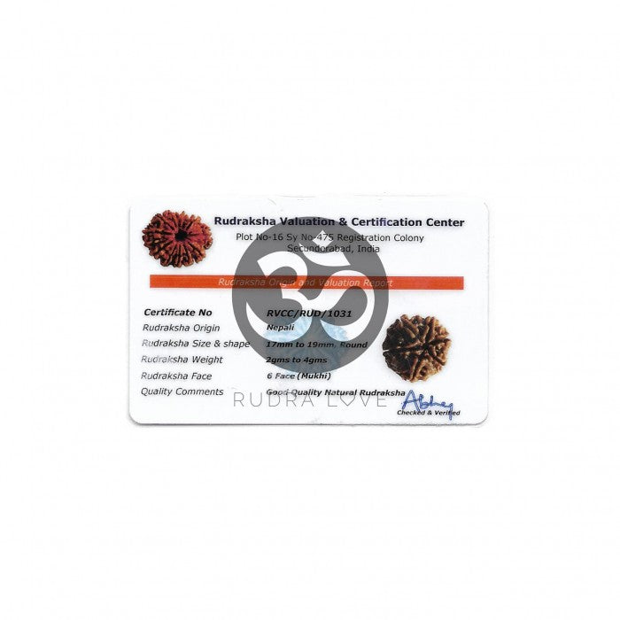 Colar do Amor Verdadeiro - 6 MUKHIS