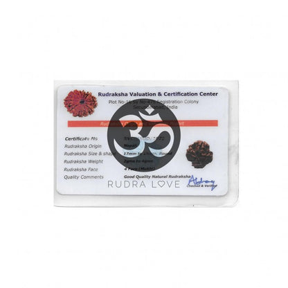 Talismã Prosperidade Financeira, carreira profissional e boa sorte - 7 MUKHIS